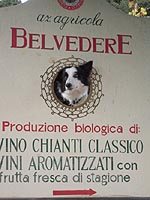 Numa Chiantin viinitilan mainoksessa:).